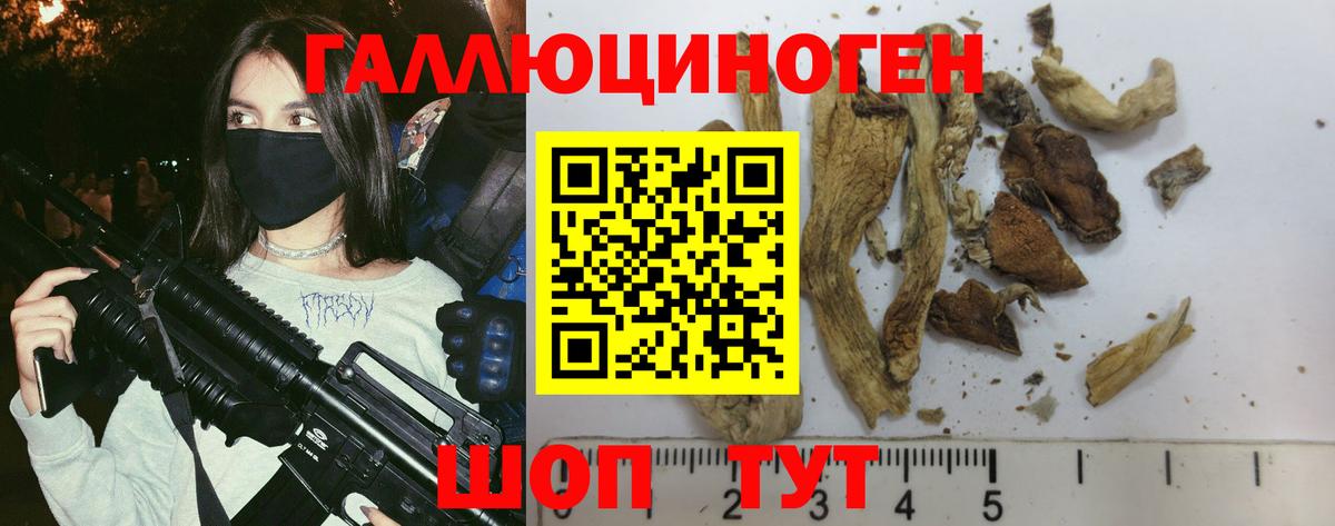 Галлюциногенные грибы MAGIC MUSHROOMS Котовск