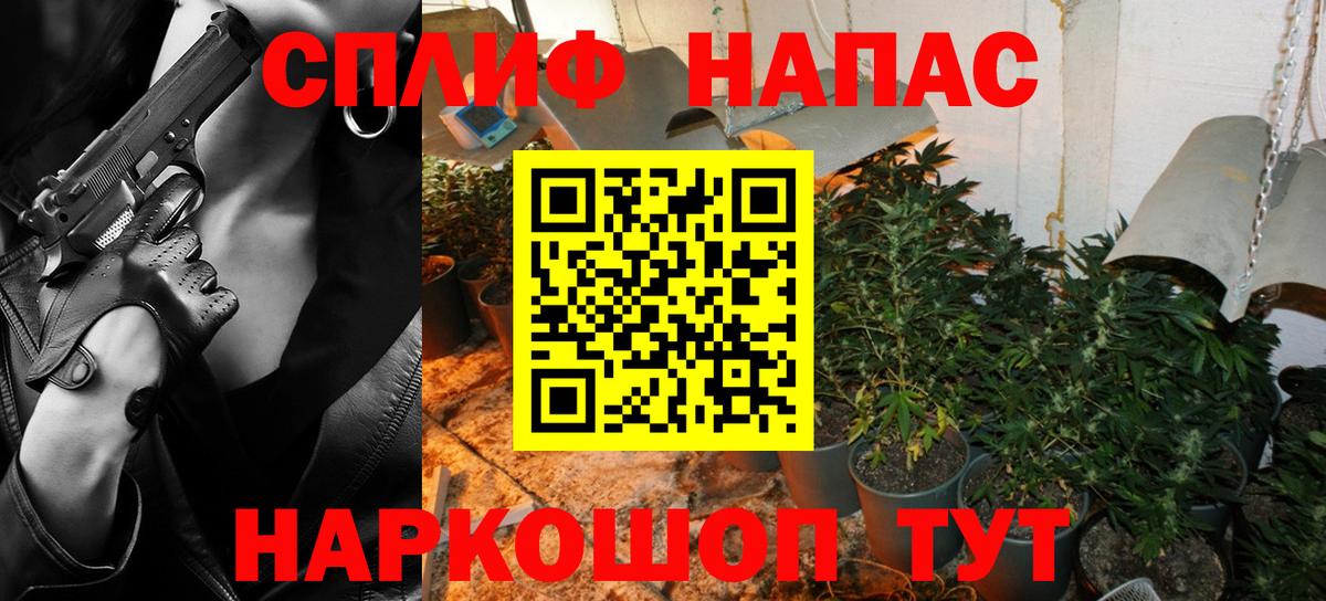 Шишки марихуана марихуана Котовск